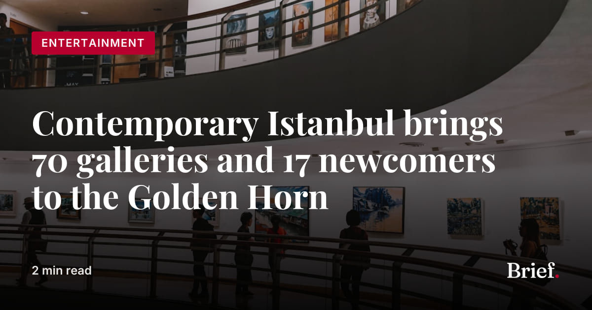 Image accompanying source report: Galerie Vallois joins Contemporary Istanbul as first-time exhibitor